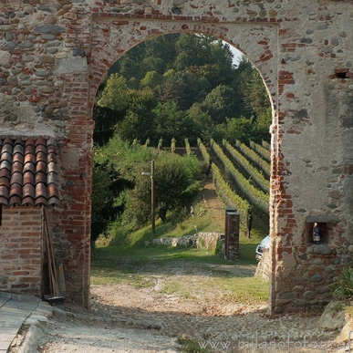 Historic stone and brick wall with an open gateway overlooking a Tuscan vineyard